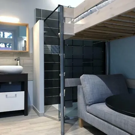 Cosy Avec Jardin Apartament Roanne